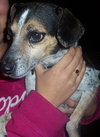 Chiquita