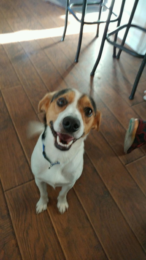 Tucker Ken