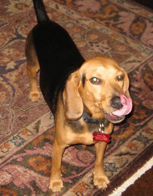 Tino
