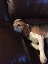 Duncan II