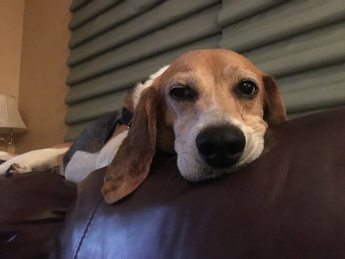 Duncan II