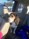 Sally Jane