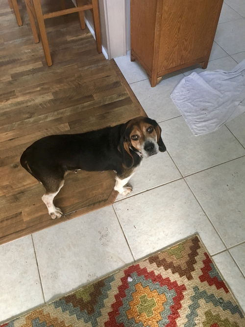 Sally Jane