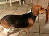Trixy