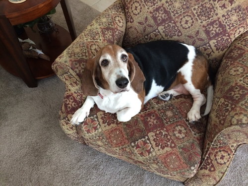 Miss Fiona