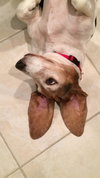 Miss Fiona