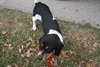 Milton