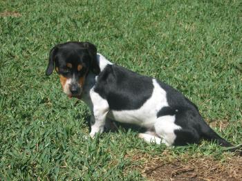 Milton