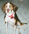 Tex