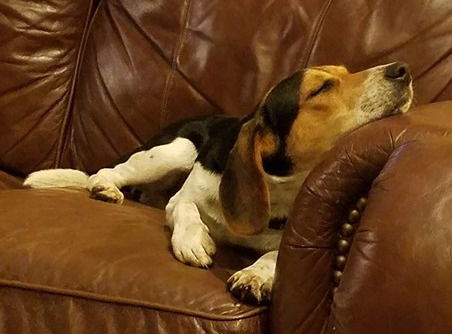 Roscoe IV