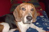 Benny II
