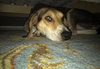 Athena