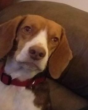 Copper X