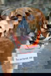 Scarlett III