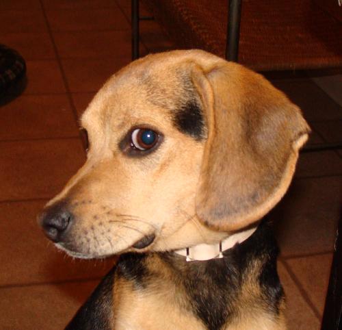Marley