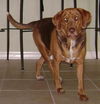Lucy V