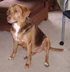 Lucy V