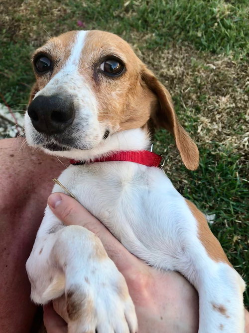 Annie Mae
