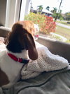 Annie Mae