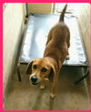 Maybelle