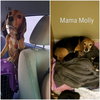 Molly IX