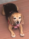 Molly IX