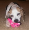 Susie  Q