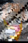 Rizzo