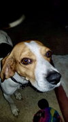 Barney Rubble