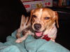 Howie