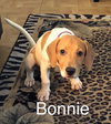 Bonnie V