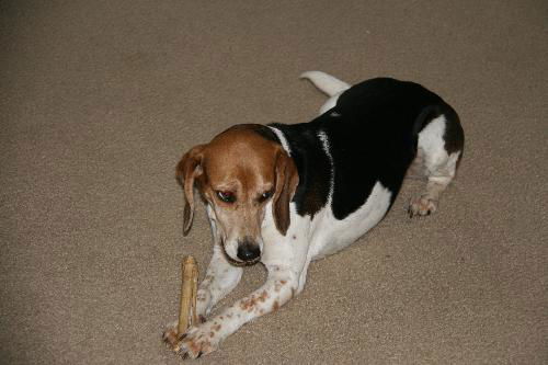 Lucy Lou
