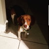 Tilly II