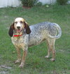 Mattie