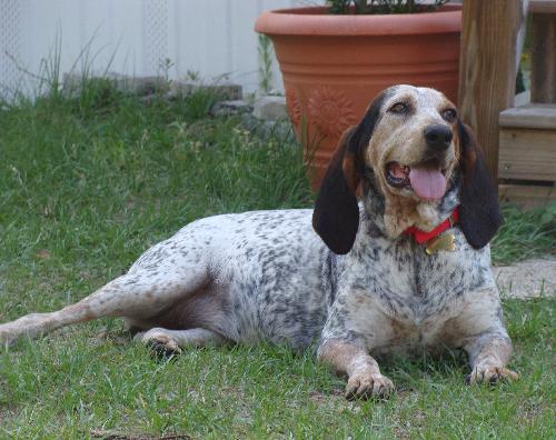 Mattie
