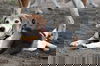 Rusty IV