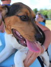 Patsy's pup Ronnie