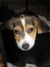 Barnaby