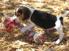 Barnaby
