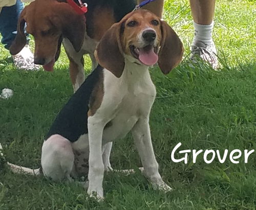 Grover II