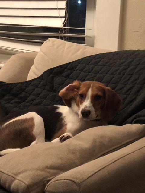 Baxter Dew