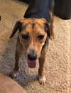Truman III