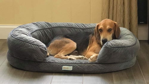 Dex