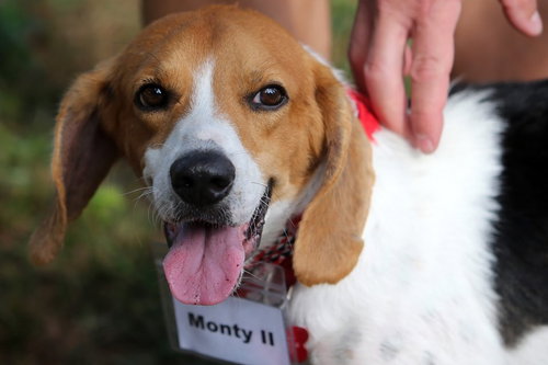 Monty II