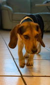 Charlie X