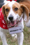 Skipper II