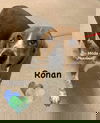 Ronan