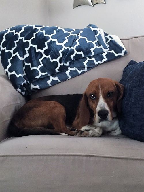 Ronan
