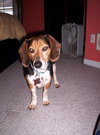 Tucker
