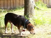 Tucker
